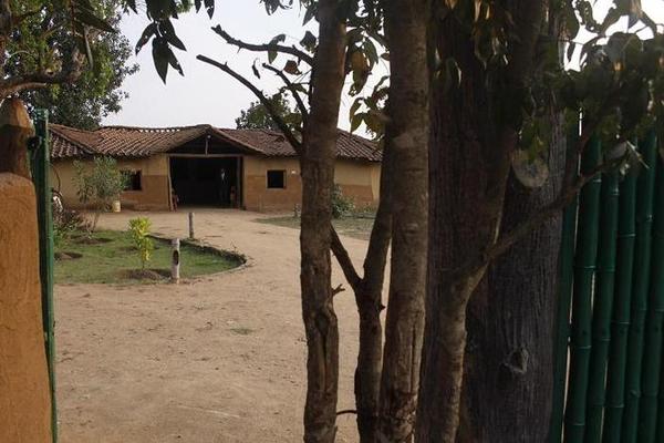 Kanha Eco Lodge